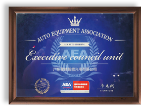 AEA国际汽车照明联盟常务理事单位